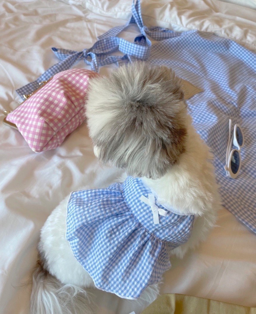 LINE_ALBUM_Near n dear_240510_138