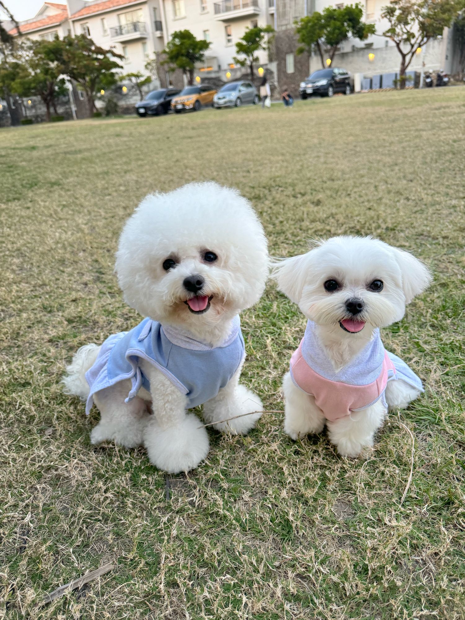 Ownny Pet_Chumi韓國代購寵物服飾 | 