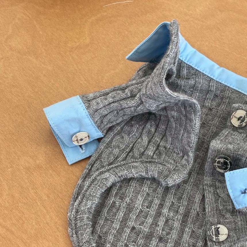 LINE_ALBUM_Doggyholic 3_251027_55