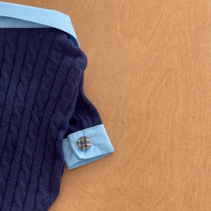 LINE_ALBUM_Doggyholic 3_251027_52