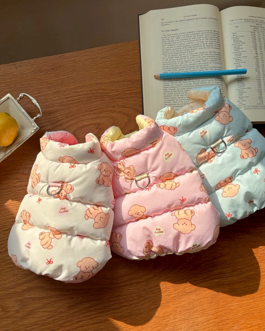 LINE_ALBUM_20251114_251116_163