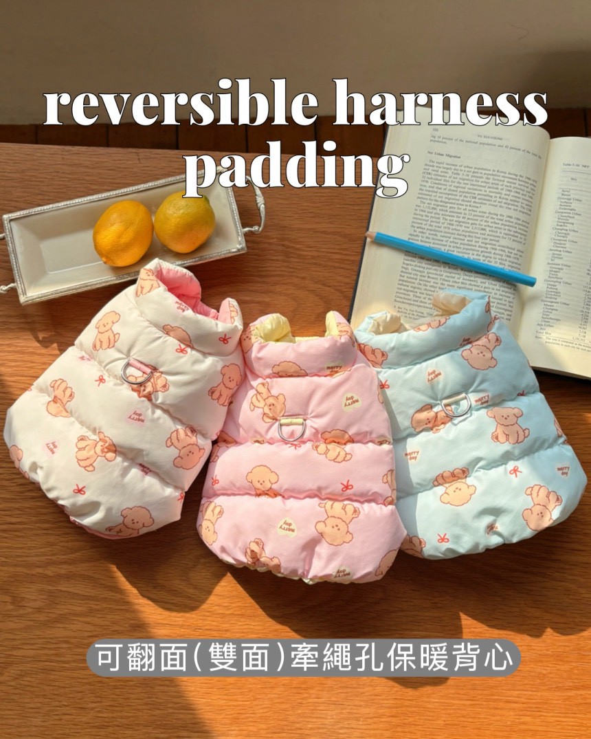 LINE_ALBUM_20251114_251116_169