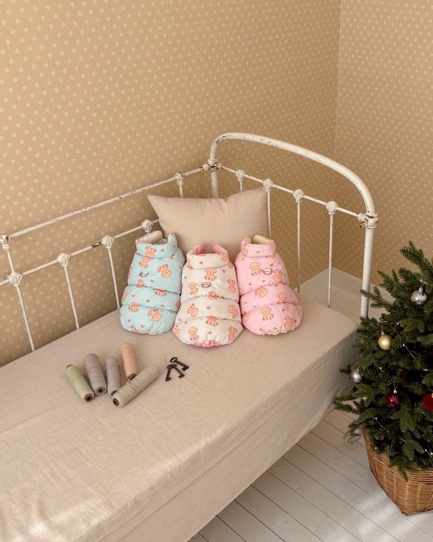 LINE_ALBUM_20251114_251116_152