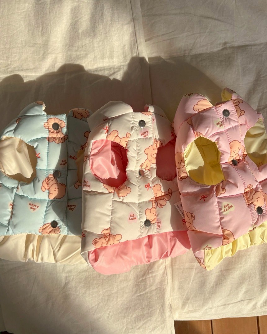 LINE_ALBUM_20251114_251116_158