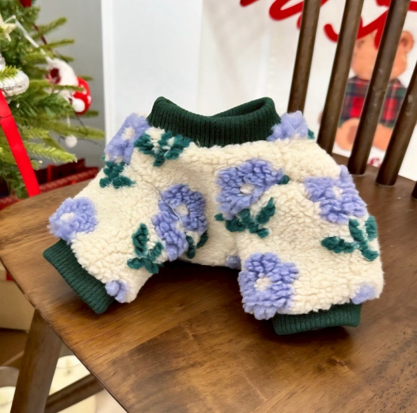 LINE_ALBUM_20251114_251116_93