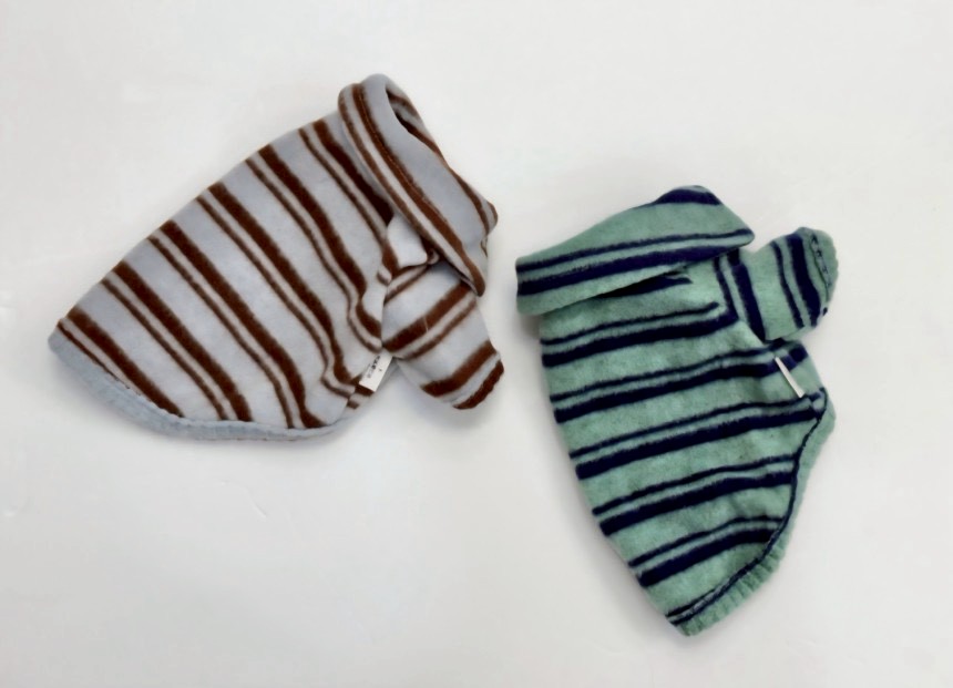 LINE_ALBUM_Doggyholic 3_251118_93