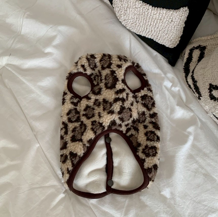 LINE_ALBUM_Doggyholic 3_251118_8