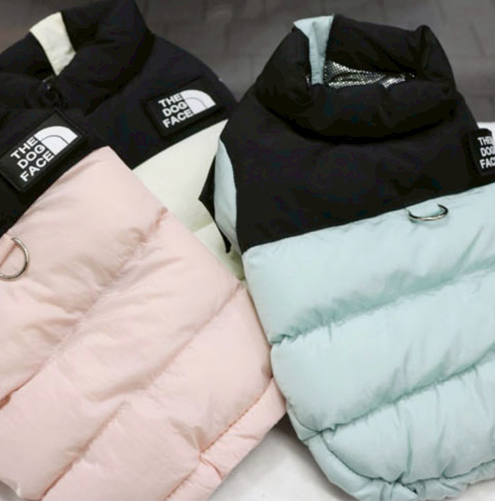 LINE_ALBUM_Doggyholic 3_251118_4