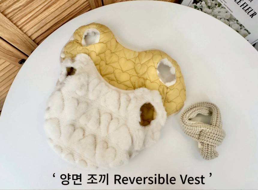 LINE_ALBUM_20251119_251119_20