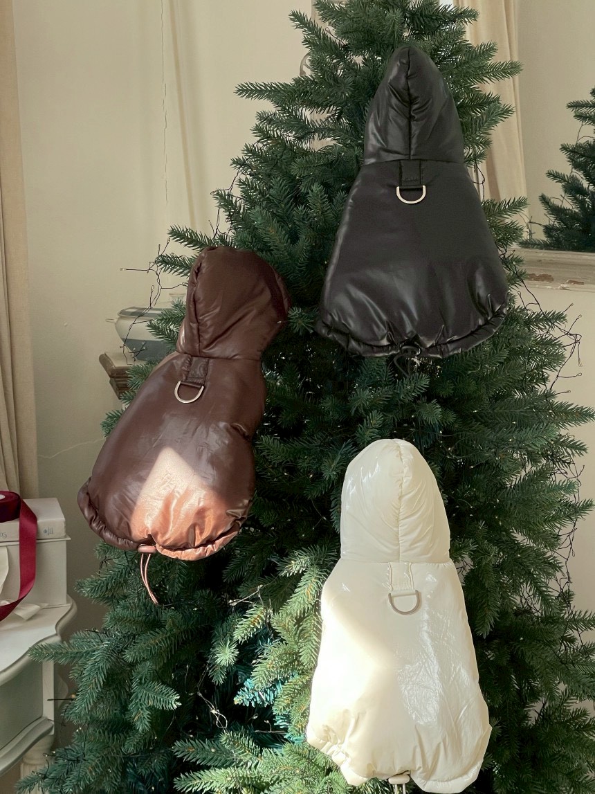 LINE_ALBUM_20251119_251119_12