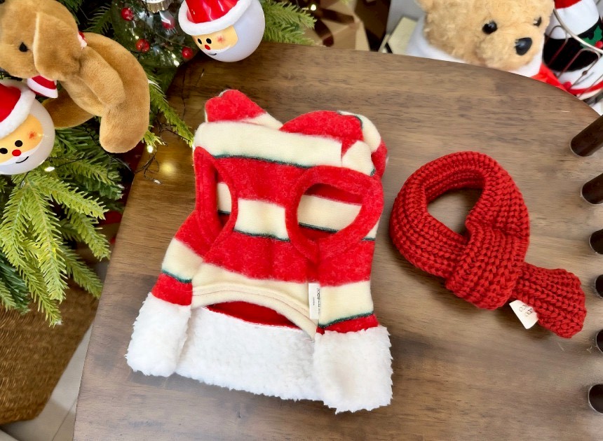 LINE_ALBUM_Doggyholic 3_251203_49