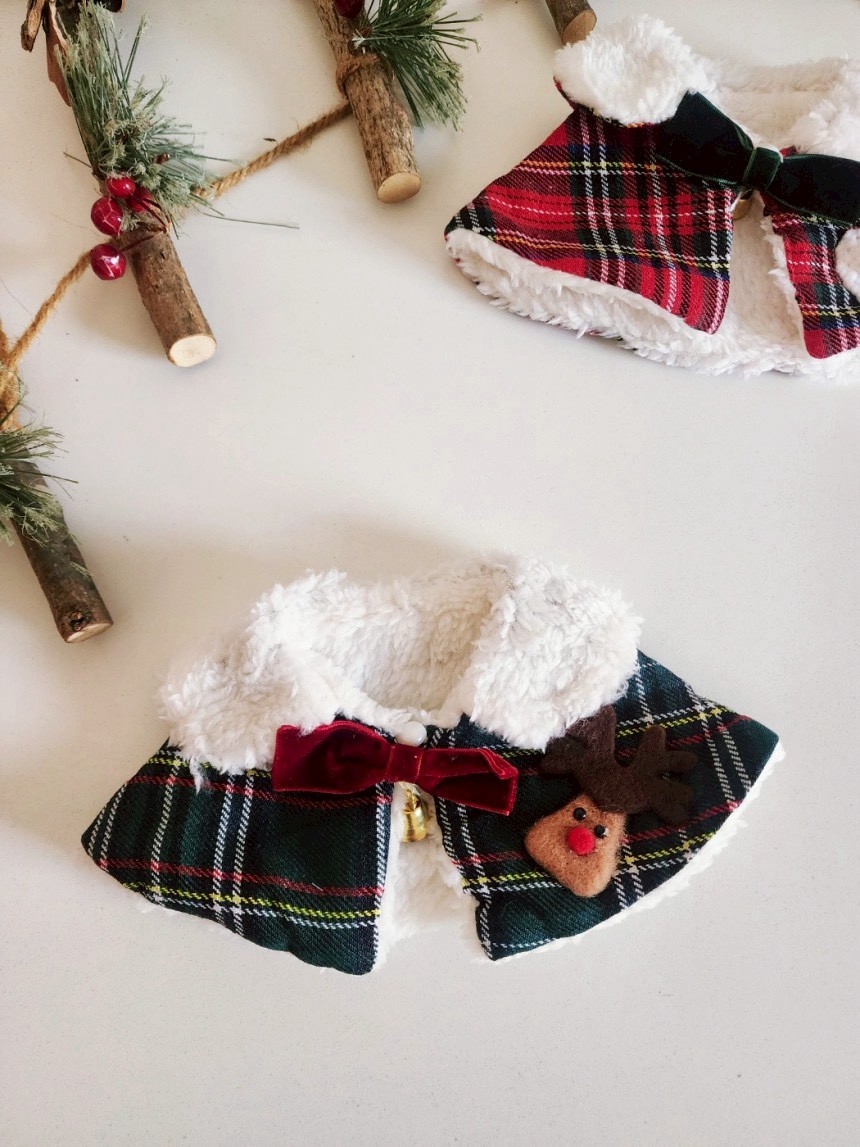 LINE_ALBUM_Doggyholic 3_251203_41