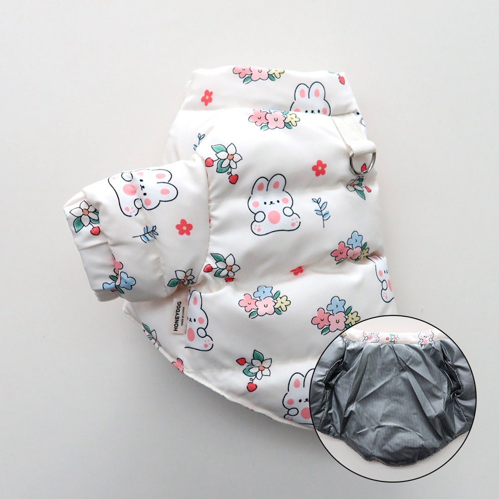 LINE_ALBUM_Honey dog 2_251207_34