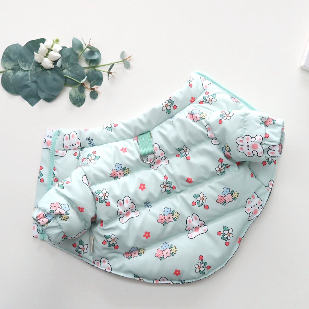 LINE_ALBUM_Honey dog 2_251207_22