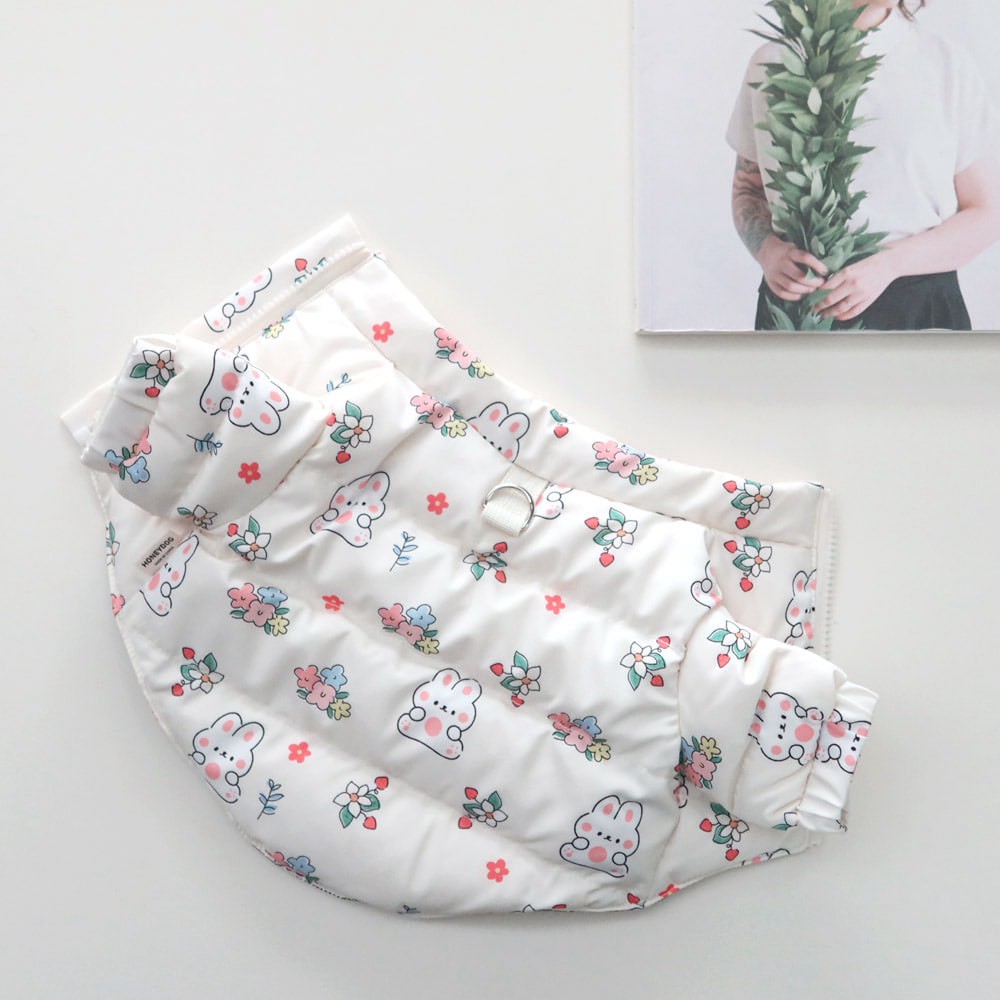 LINE_ALBUM_Honey dog 2_251207_21