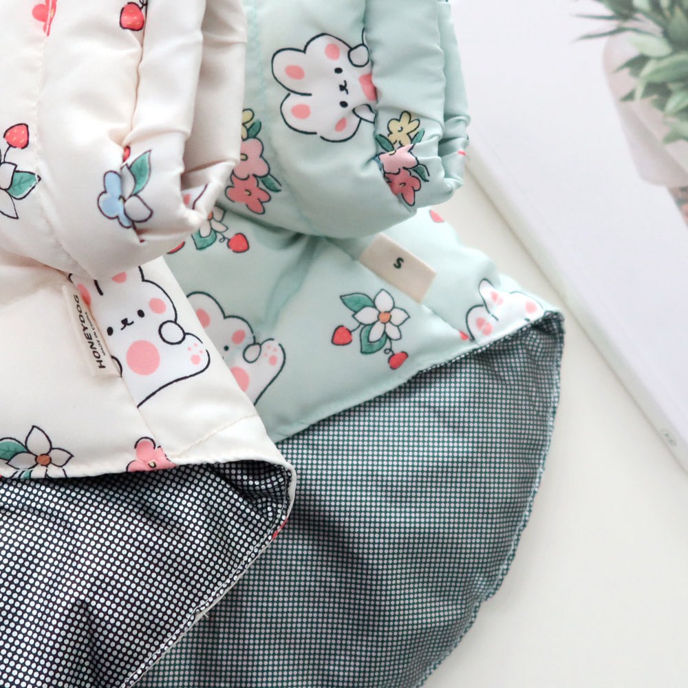 LINE_ALBUM_Honey dog 2_251207_26