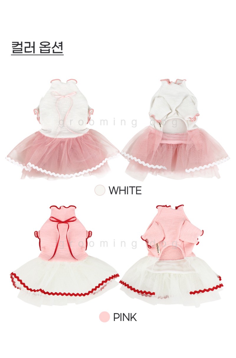 LINE_ALBUM_Grooming dog_251207_70