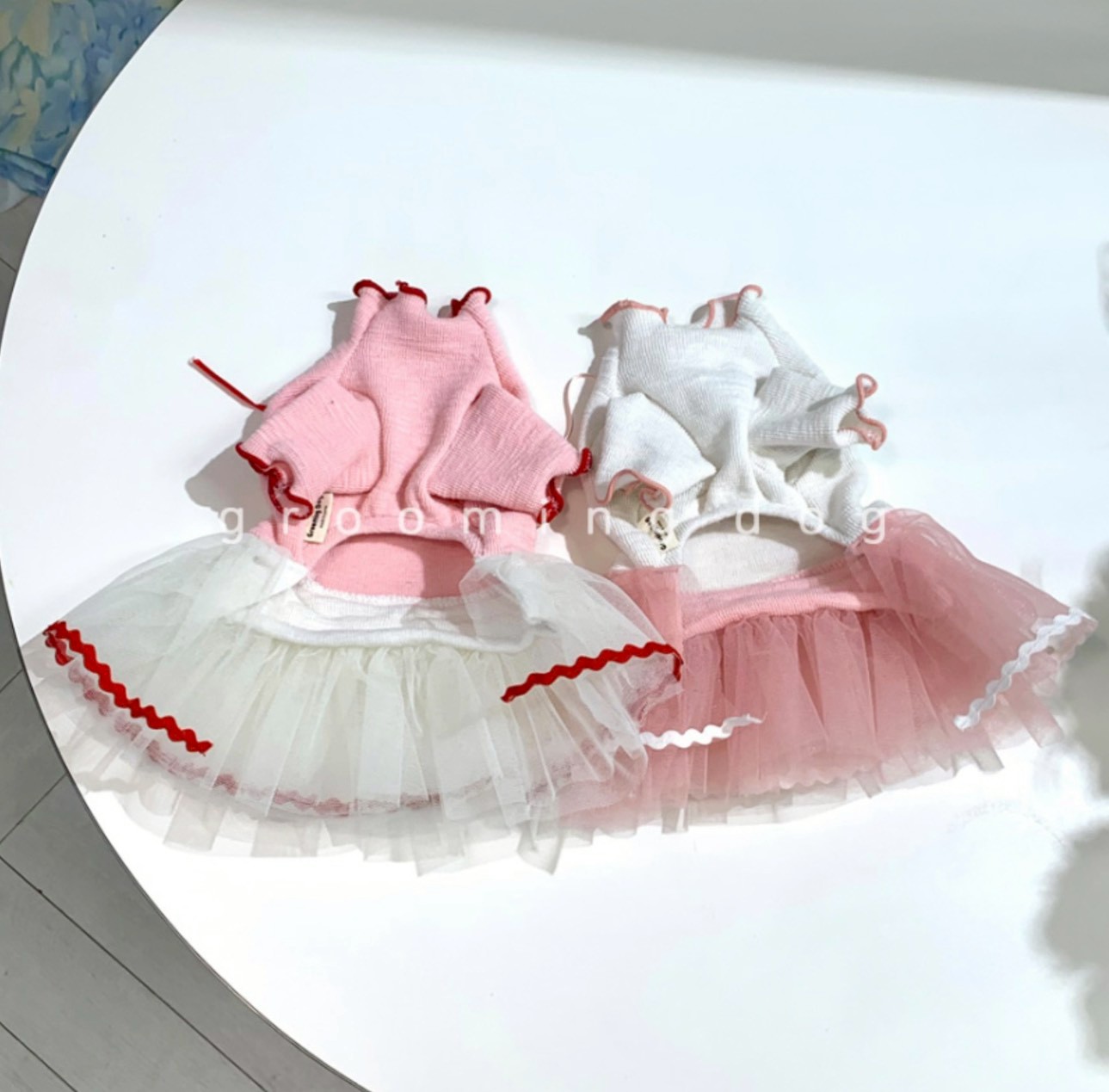 LINE_ALBUM_Grooming dog_251207_63