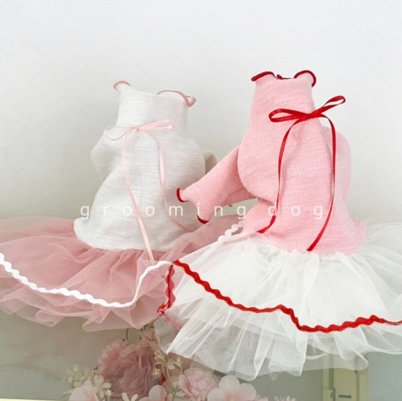 LINE_ALBUM_Grooming dog_251207_61