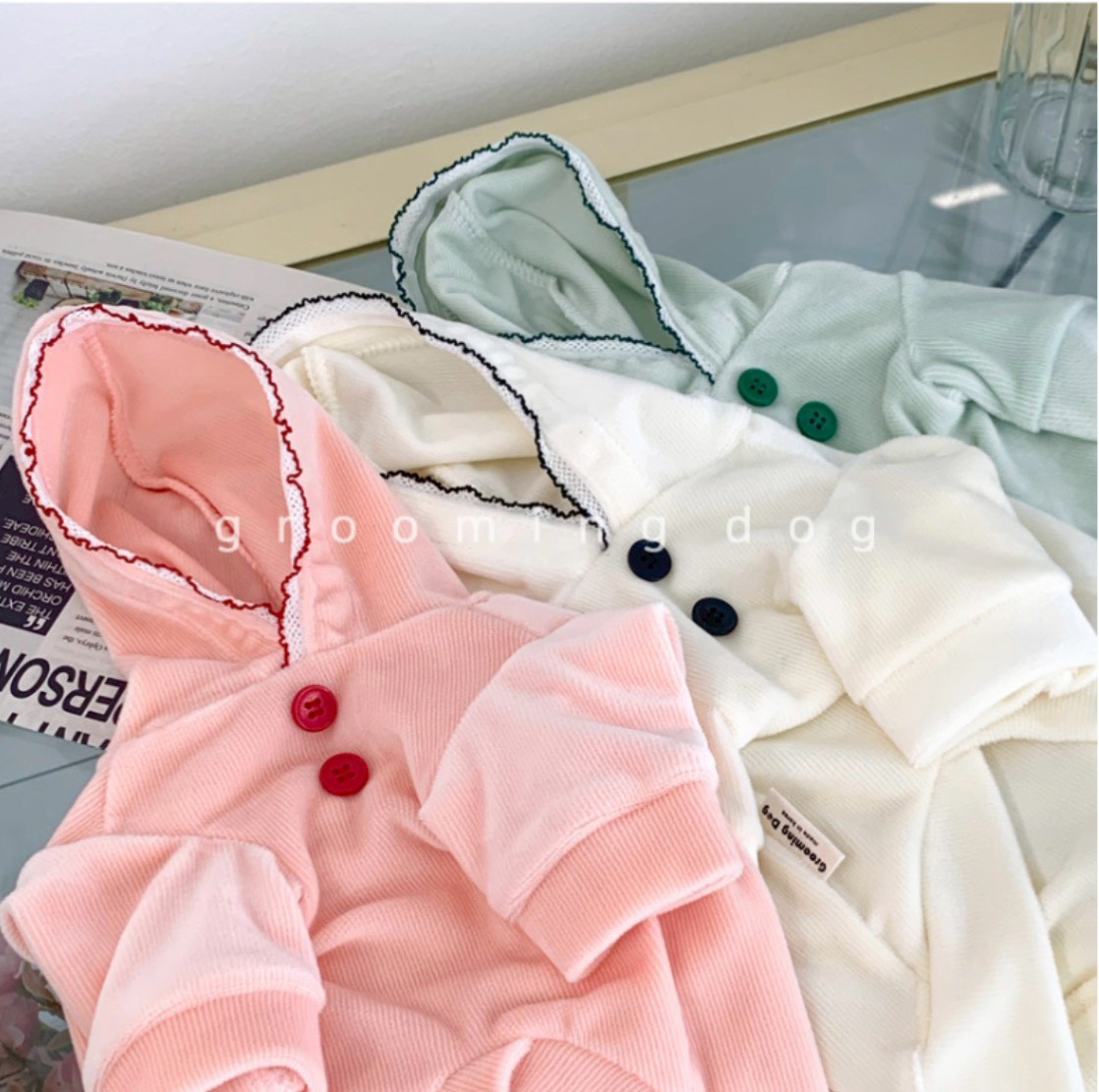 LINE_ALBUM_Grooming dog_251225_2