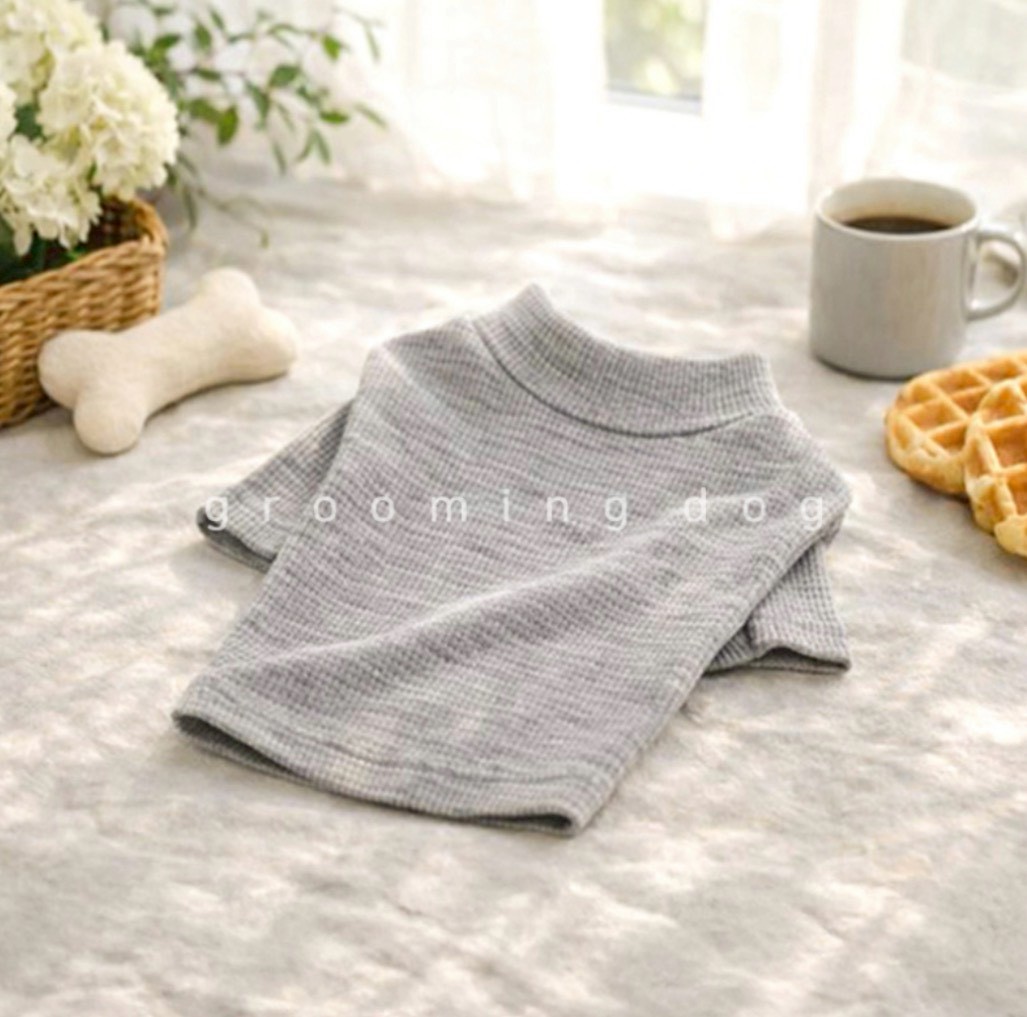 LINE_ALBUM_Grooming dog_260115_78