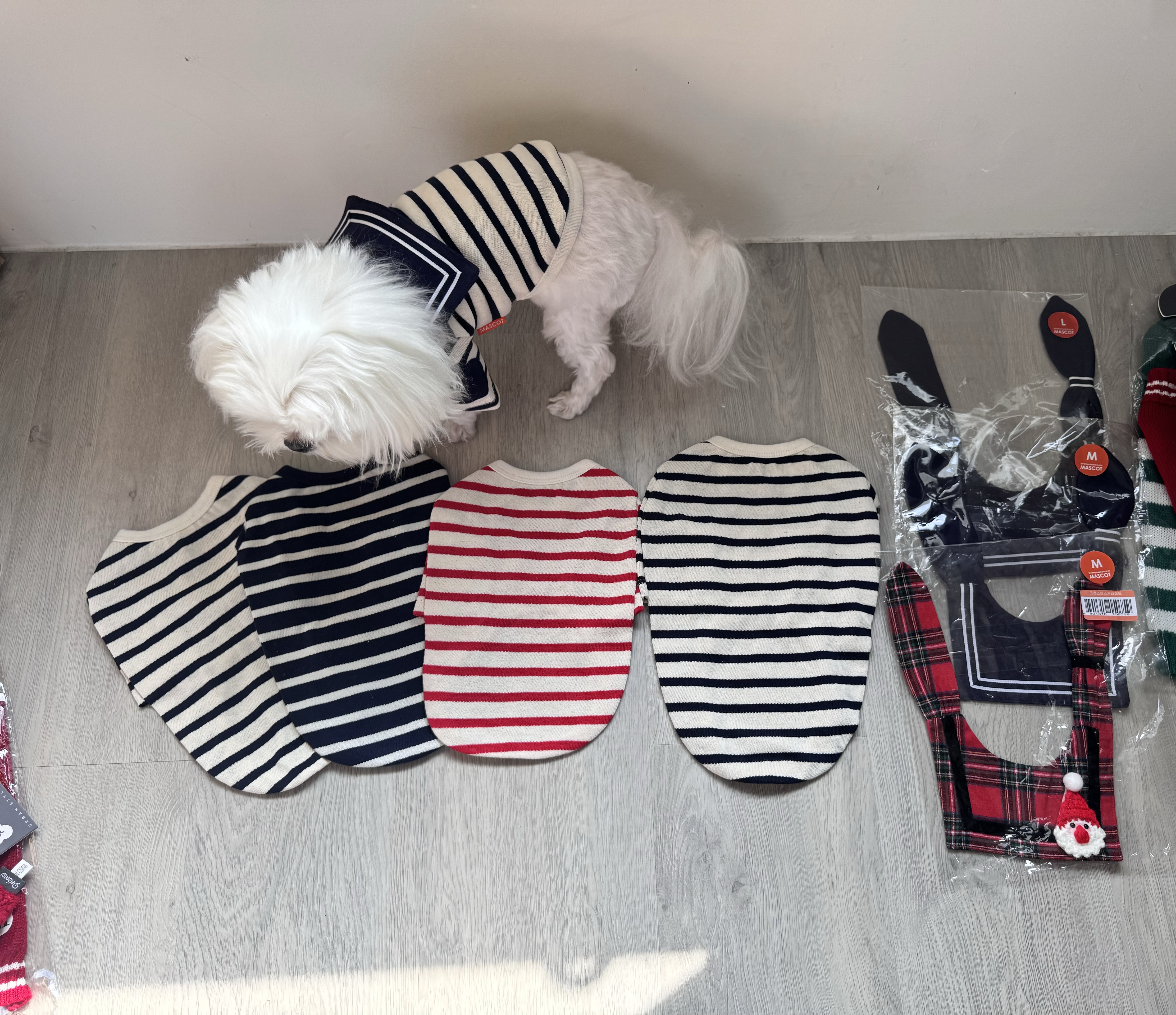 7B36937F-6BF2-4674-A7E3-AA4EA0A2ADCC