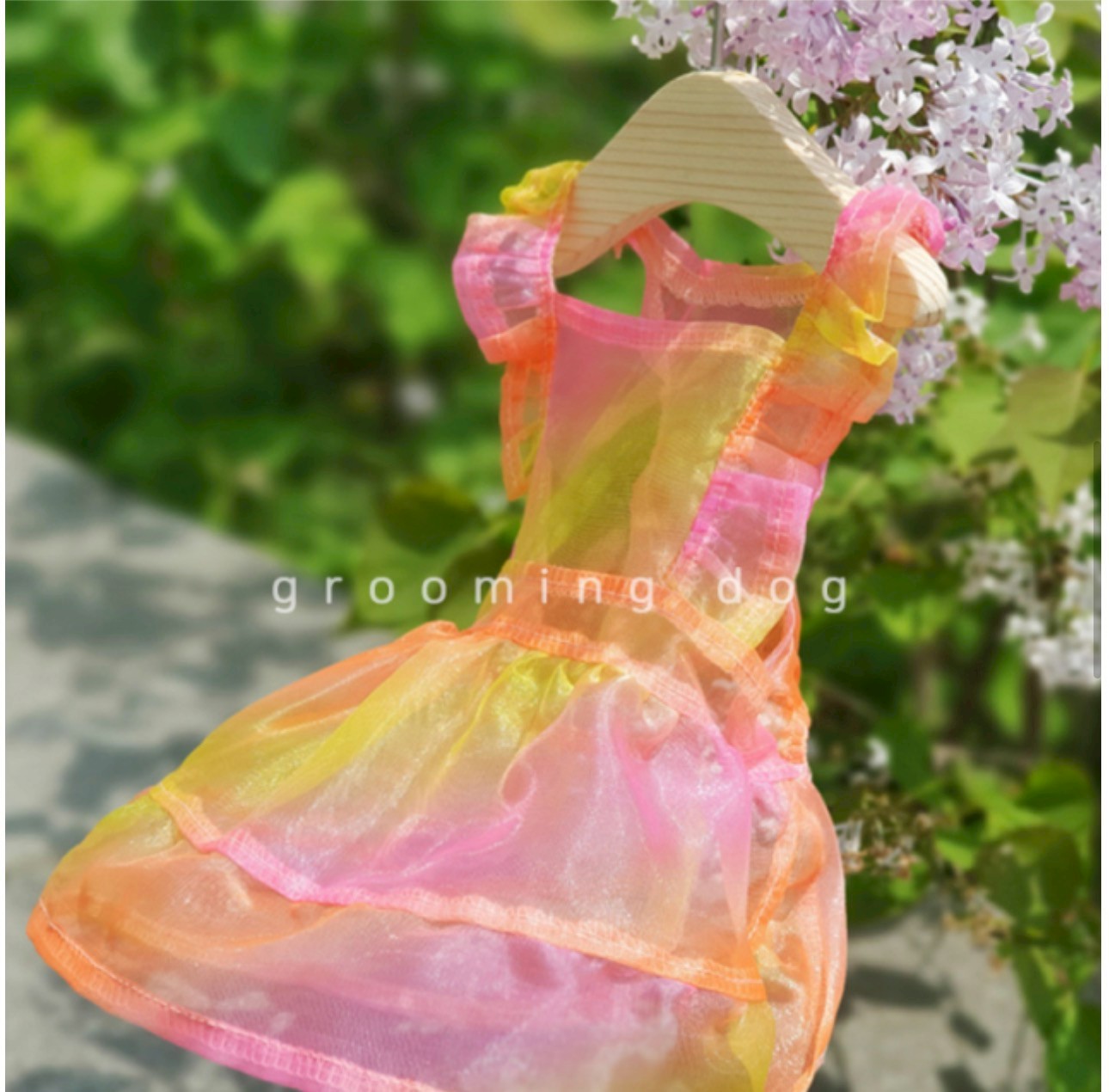 LINE_ALBUM_Grooming dog_260212_57