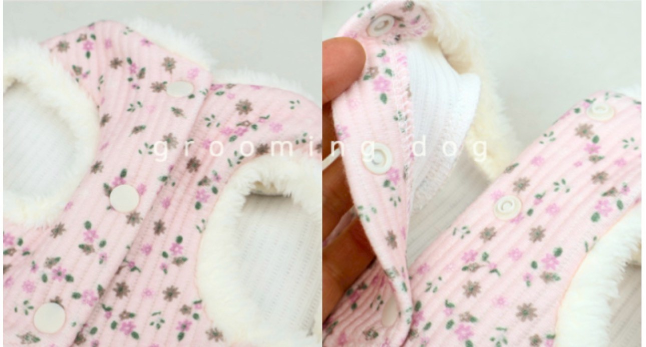 LINE_ALBUM_Grooming dog_260212_16