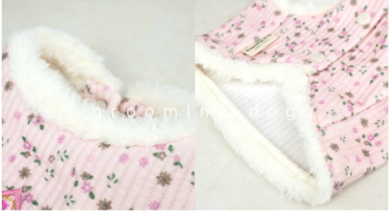 LINE_ALBUM_Grooming dog_260212_13