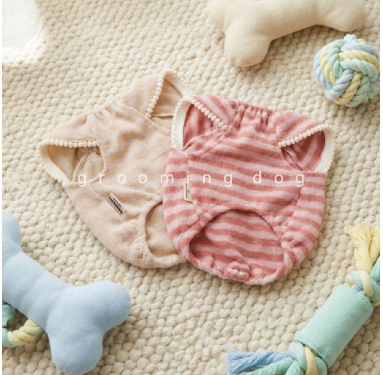 LINE_ALBUM_Grooming dog_260226_23