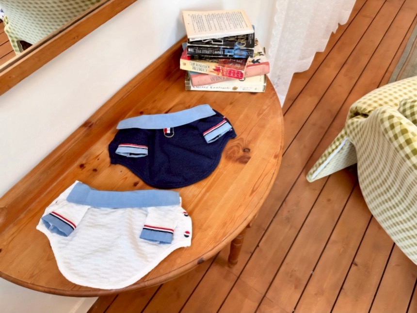 LINE_ALBUM_Doggyholic 4_260226_2