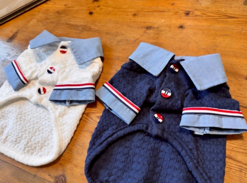 LINE_ALBUM_Doggyholic 4_260226_9