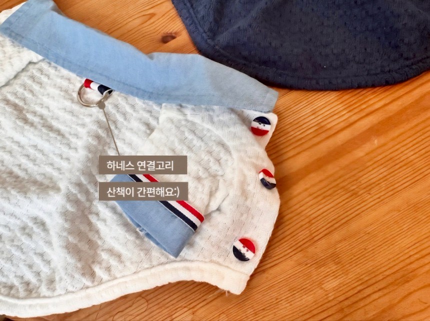 LINE_ALBUM_Doggyholic 4_260226_11