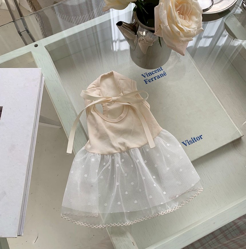 LINE_ALBUM_Doggyholic 4_260226_51