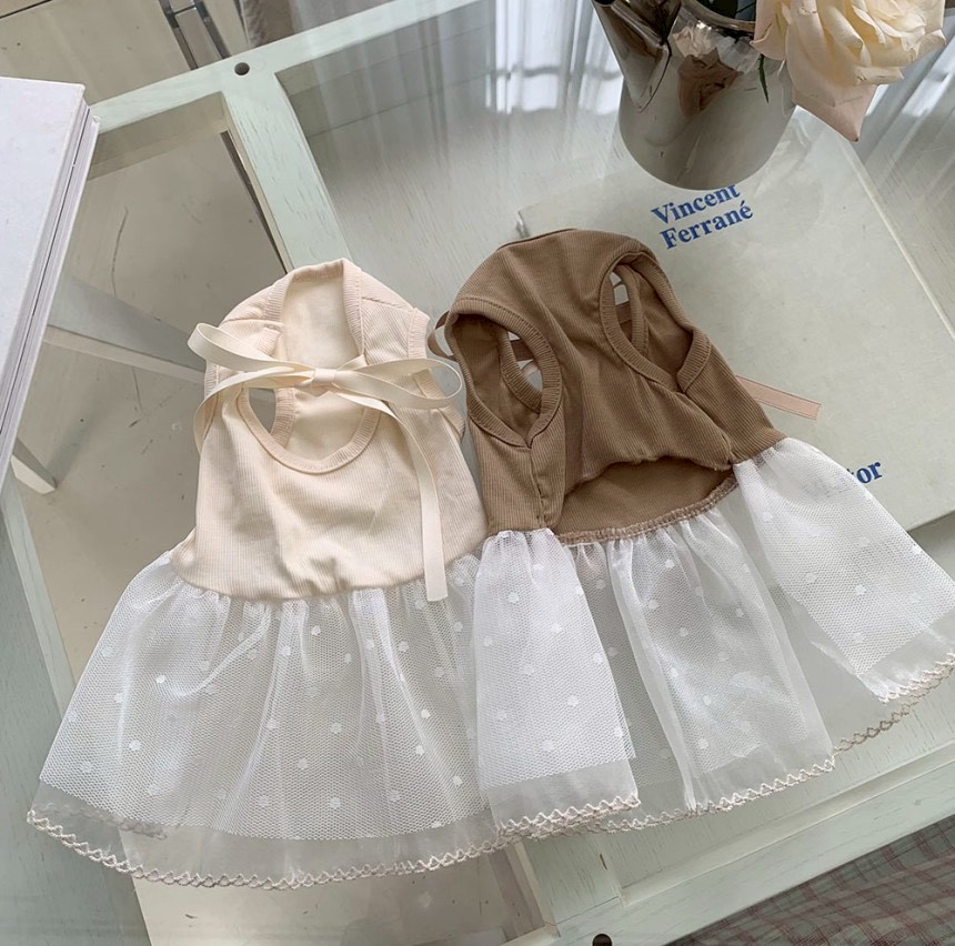 LINE_ALBUM_Doggyholic 4_260226_71