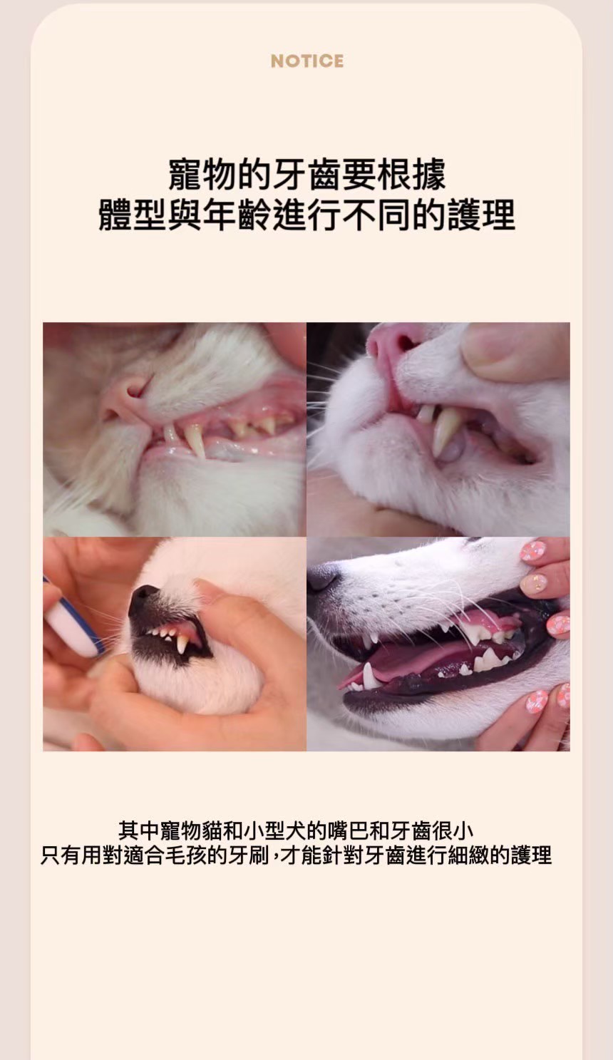LINE_ALBUM_DENTISOFT寵物牙刷牙間刷_260513_33