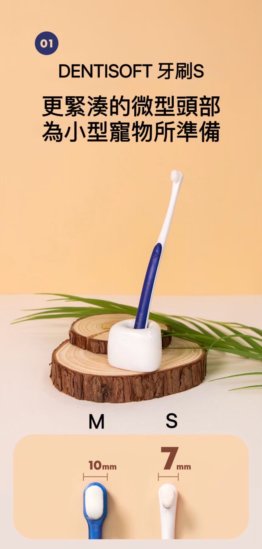 LINE_ALBUM_DENTISOFT寵物牙刷牙間刷_260513_7