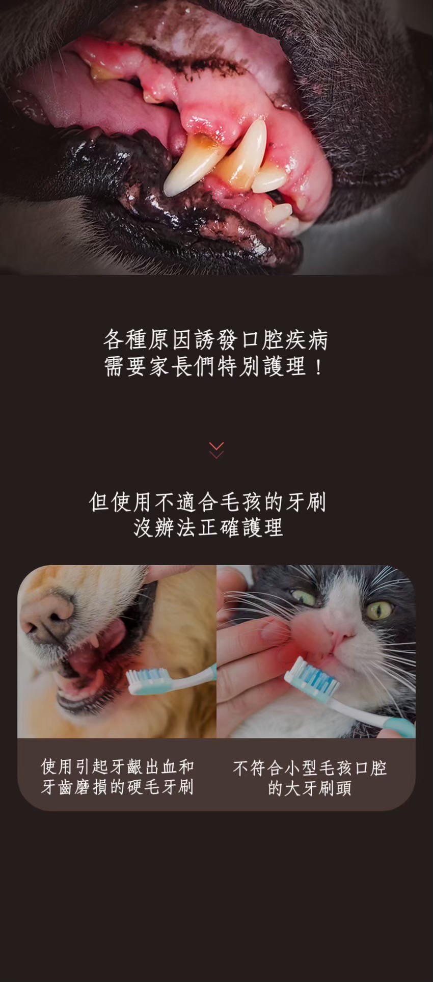LINE_ALBUM_DENTISOFT寵物牙刷牙間刷_260513_31