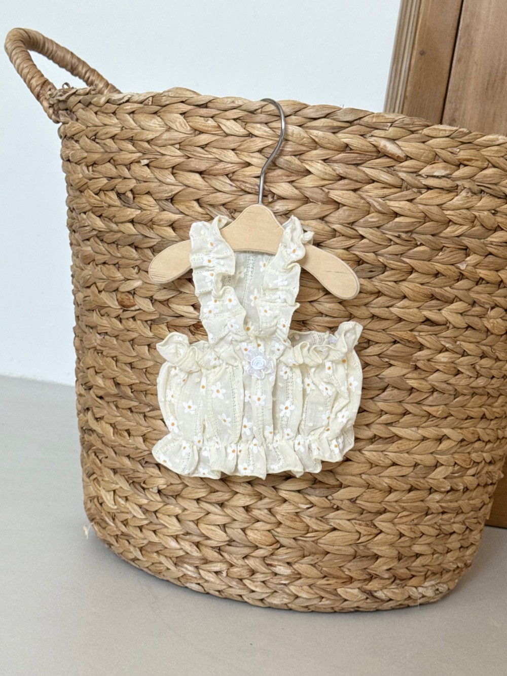LINE_ALBUM_Dearmeong_260526_12