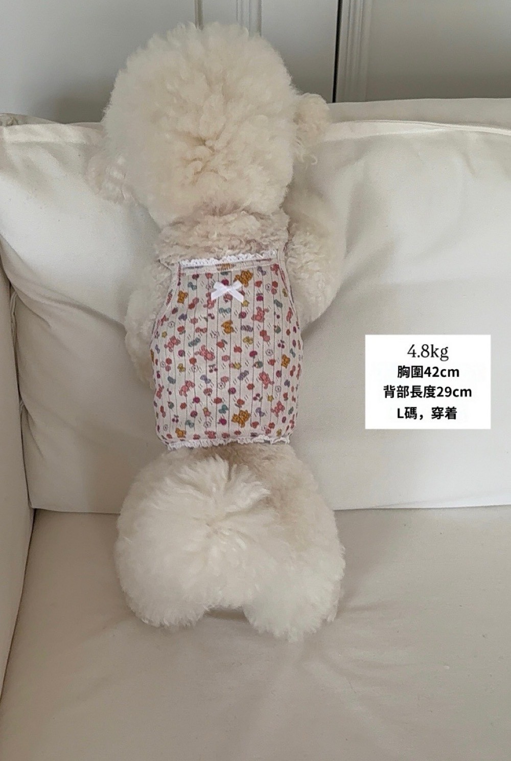 LINE_ALBUM_Dearmeong_260526_117