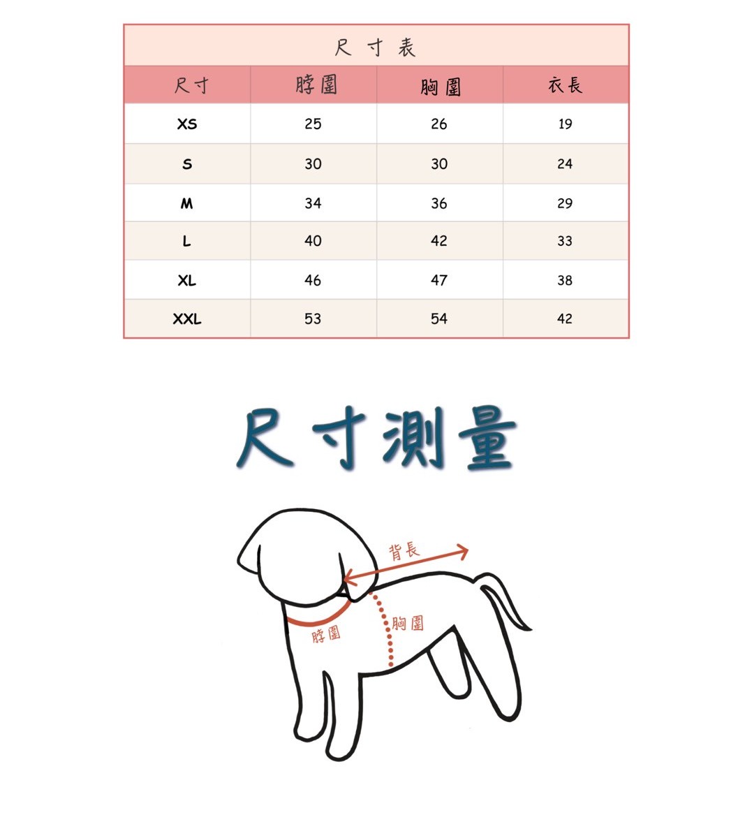 LINE_ALBUM_Black able puppy_260526_15