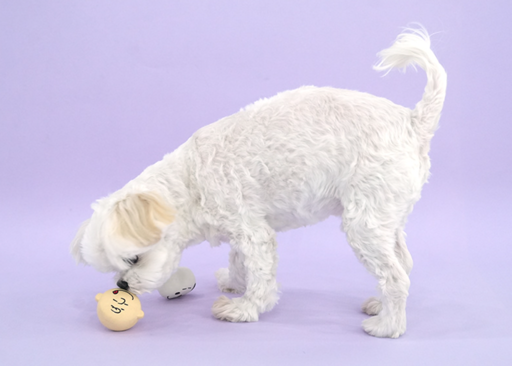 螢幕擷取畫面 2026-03-05 153843