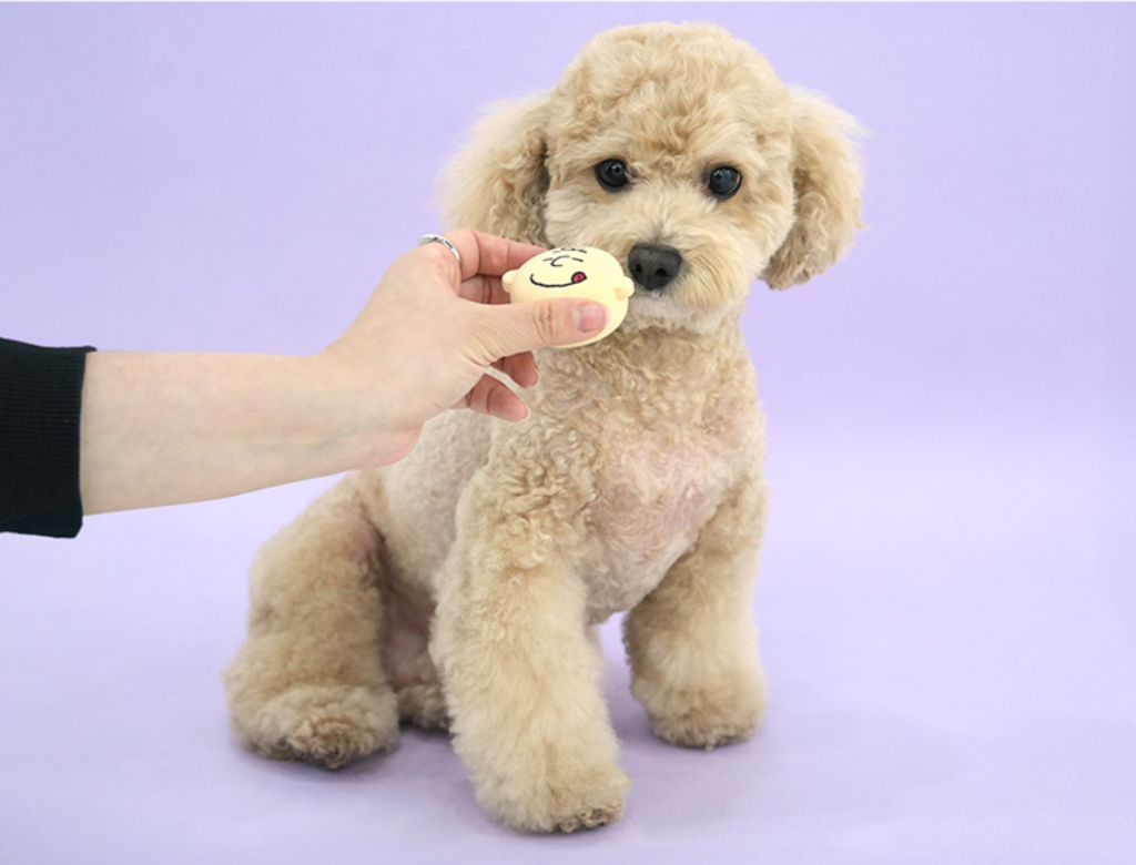 螢幕擷取畫面 2026-03-05 153541