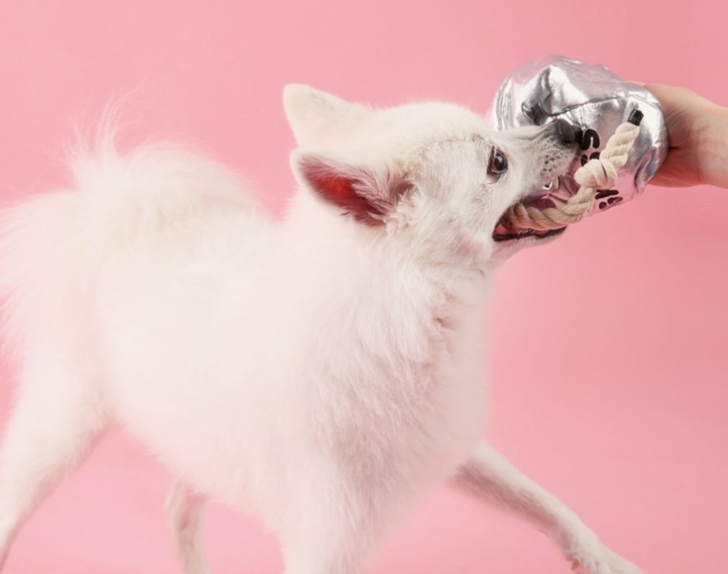 LINE_ALBUM_2024.12.18_260305_9