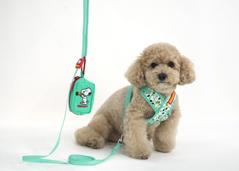 螢幕擷取畫面 2026-03-05 161908