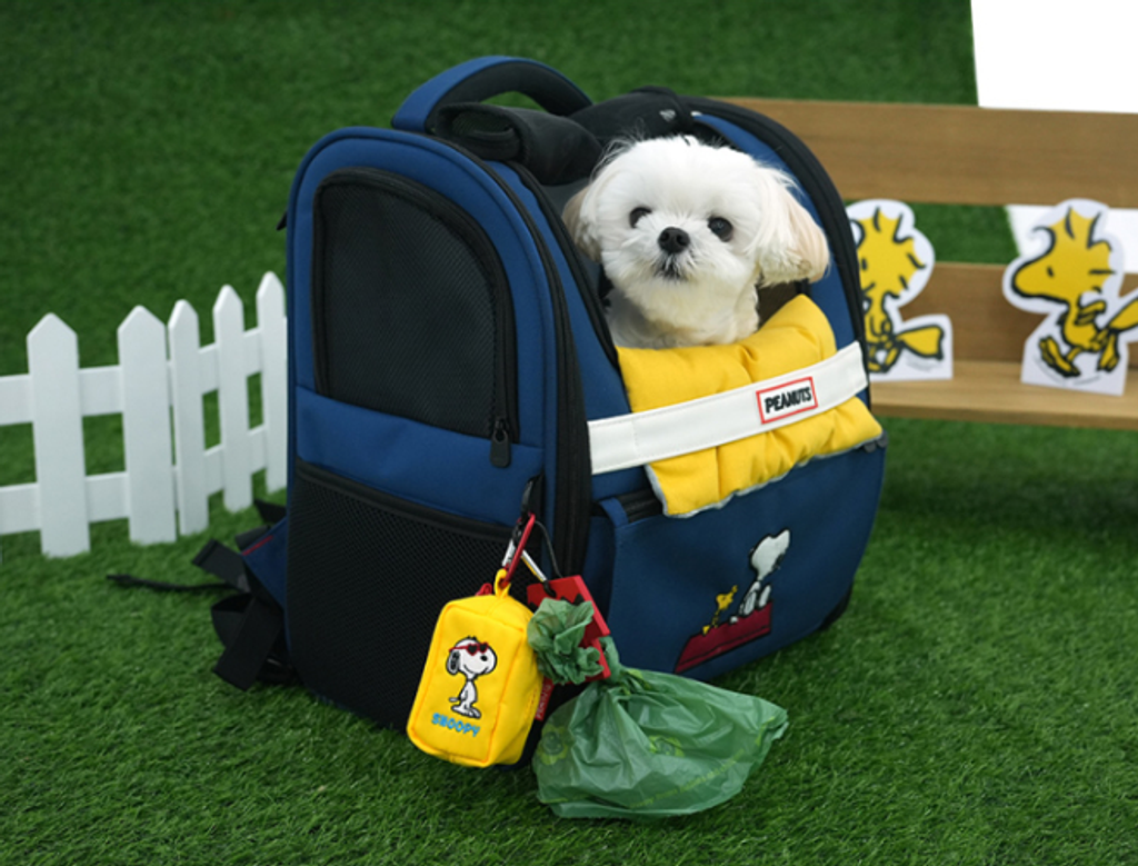 螢幕擷取畫面 2026-03-05 163022