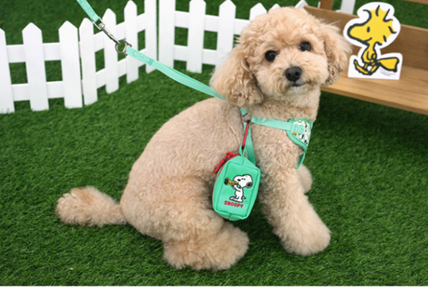 螢幕擷取畫面 2026-03-05 161831