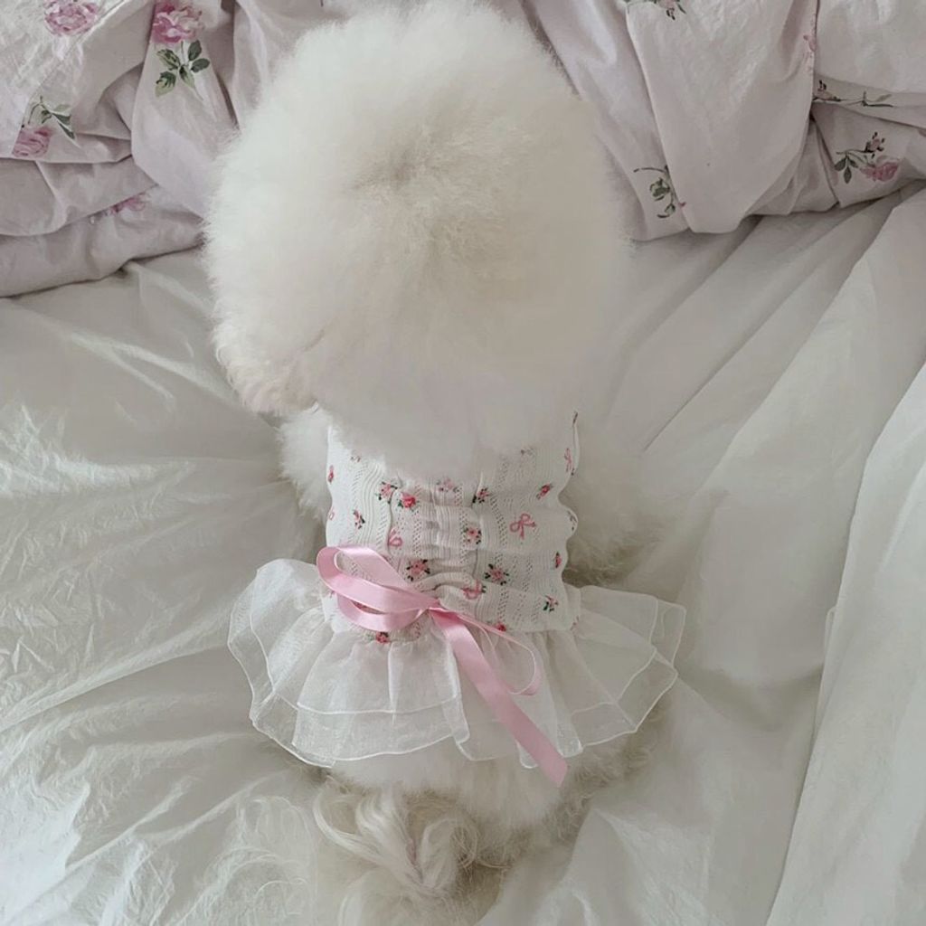 LINE_ALBUM_Doggyholic 4_260305_28