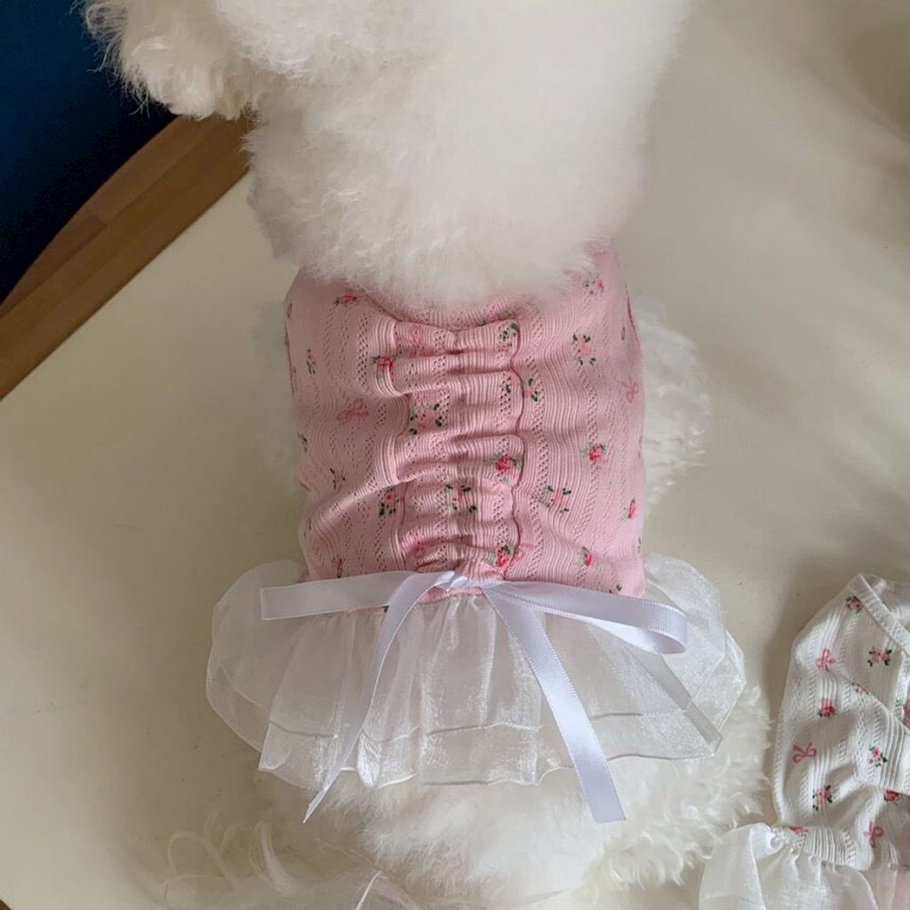 LINE_ALBUM_Doggyholic 4_260305_36