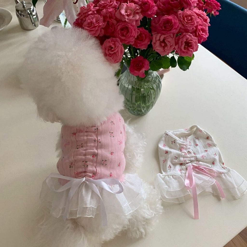 LINE_ALBUM_Doggyholic 4_260305_22